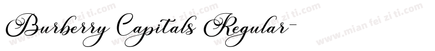Burberry Capitals Regular字体转换